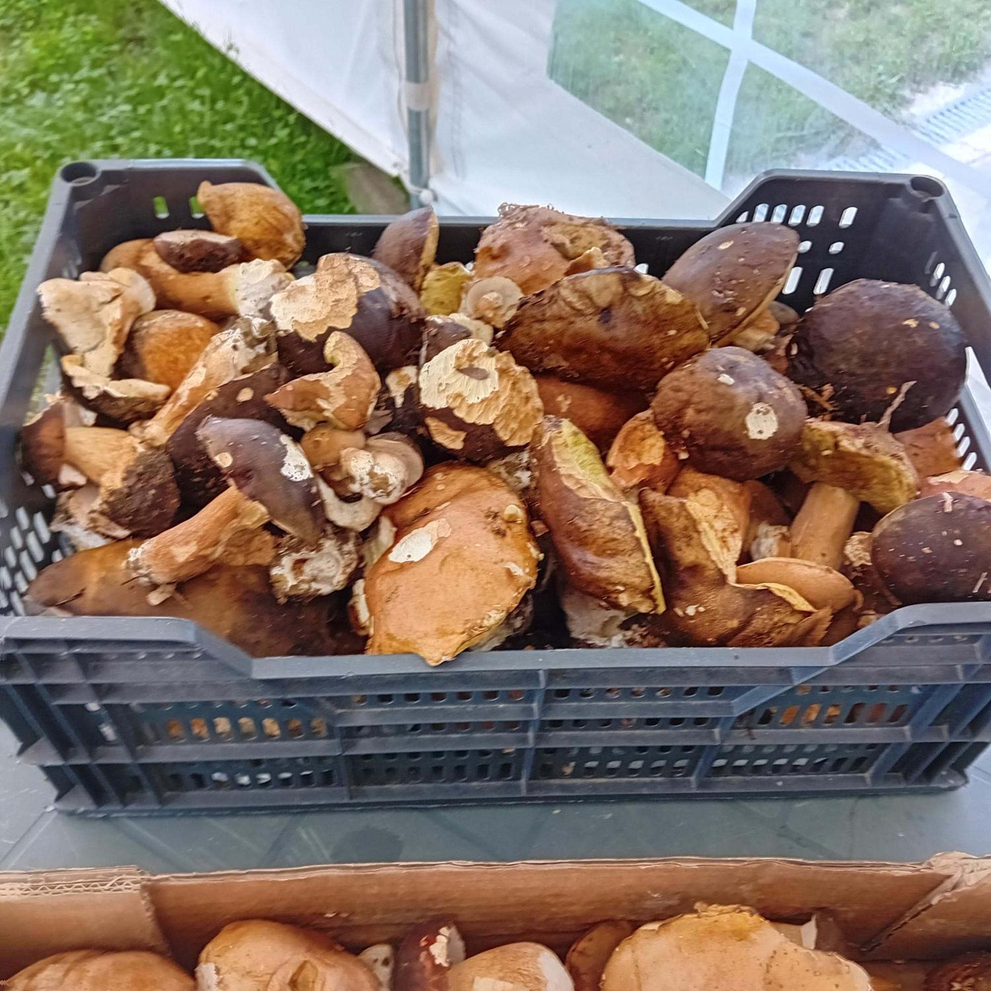 Clos A Malypense Chez Mr Montamat Galan Ngoại thất bức ảnh